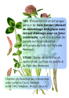 PresentationDeSansFumierALaMicroFerme_l-ortie-2.png